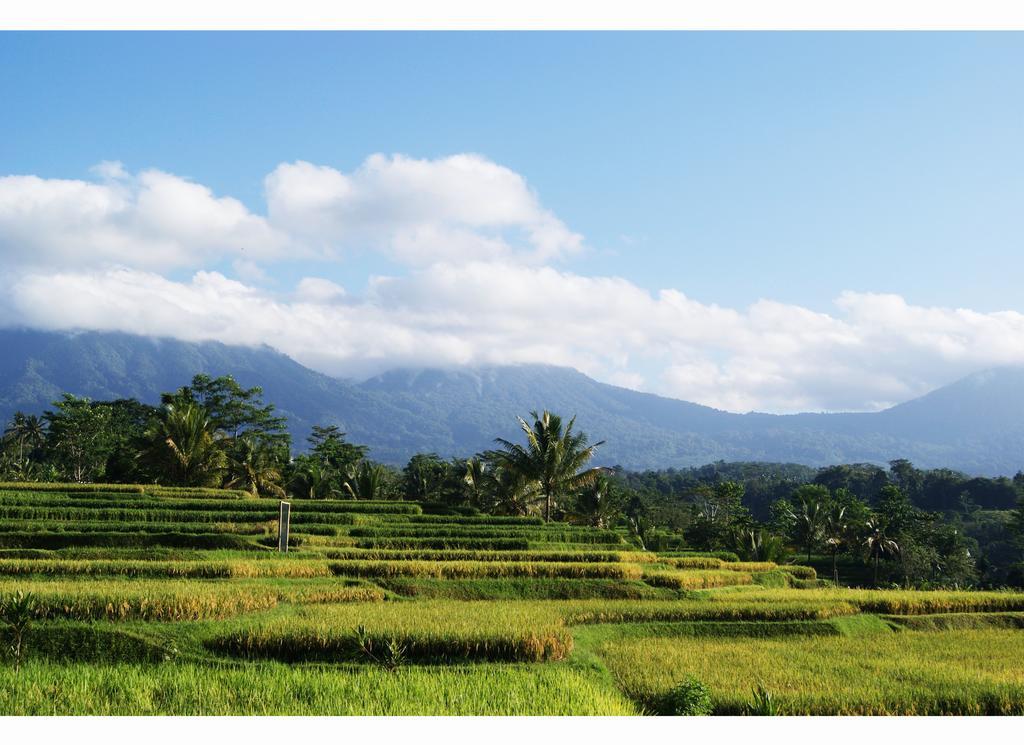 Ti Amo Bali Jatiluwih Quarto foto