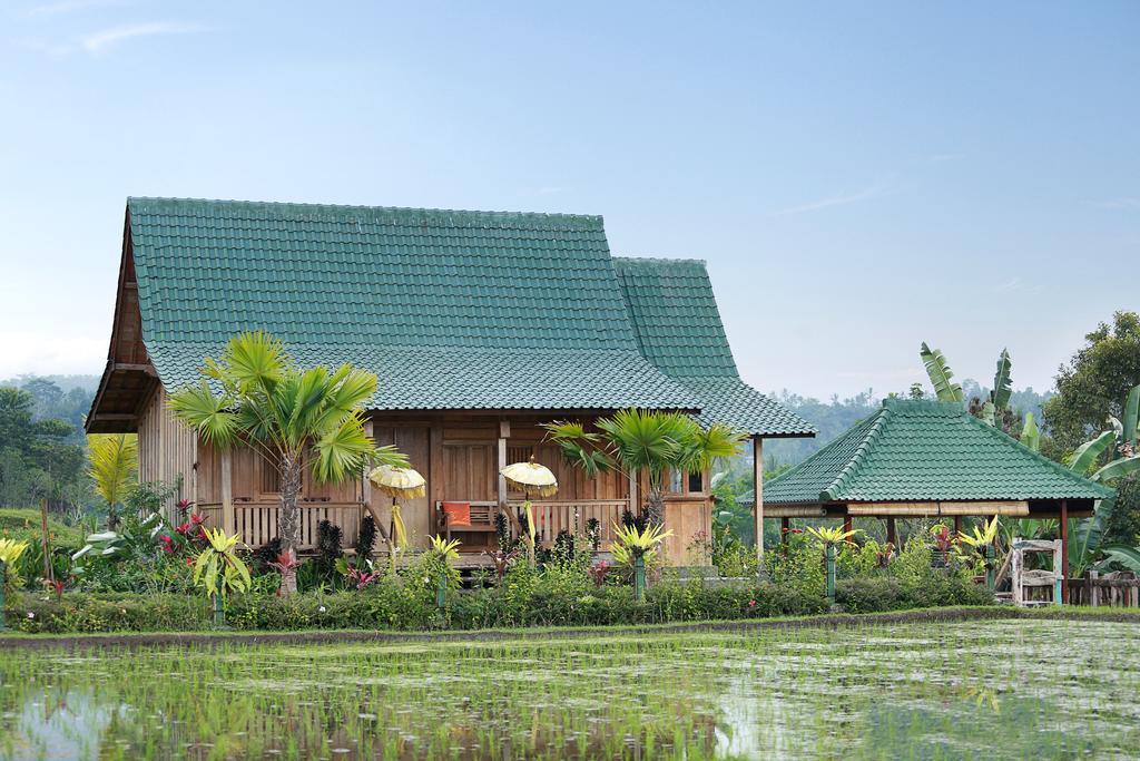 Ti Amo Bali Jatiluwih Exterior foto