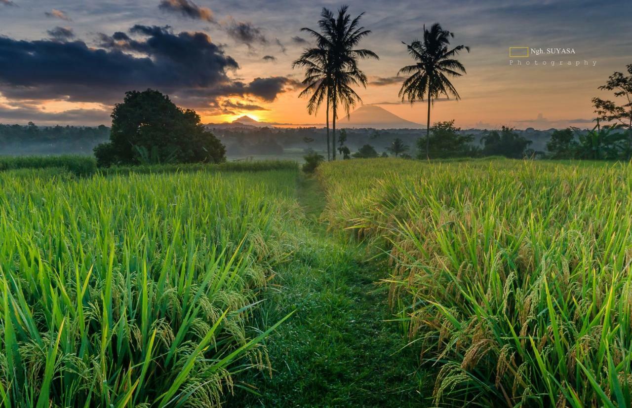 Ti Amo Bali Jatiluwih Exterior foto