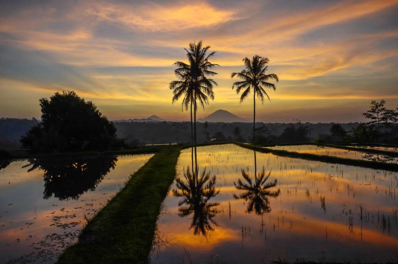 Ti Amo Bali Jatiluwih Exterior foto