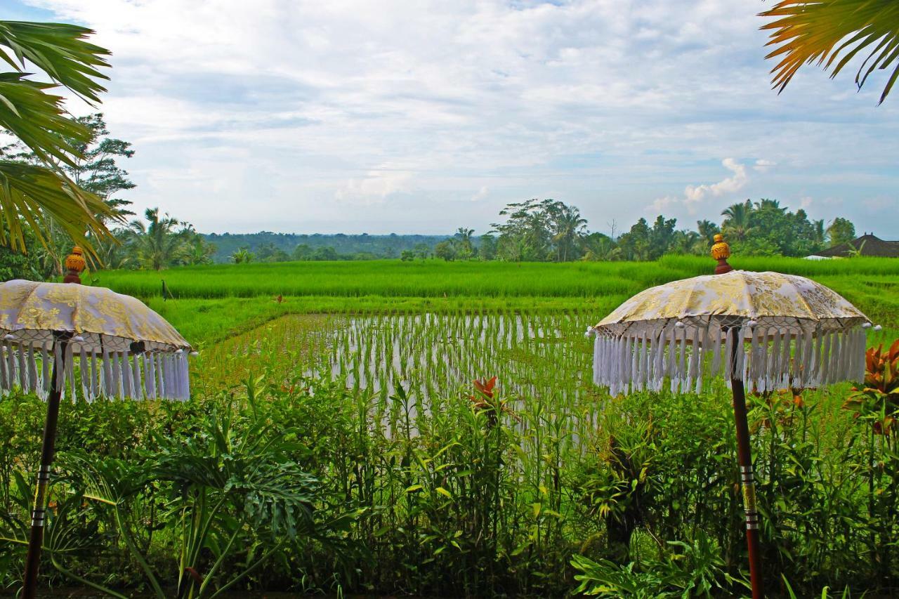 Ti Amo Bali Jatiluwih Exterior foto